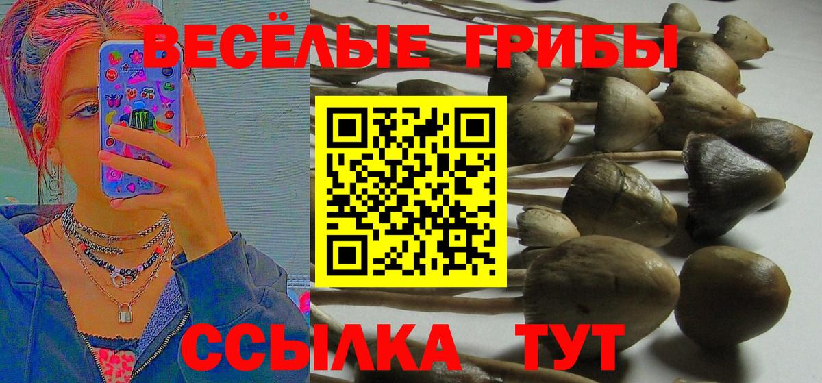 Меф   Марихуана  Вход с VPN  Гашиш  COCAIN  Северск  Гашиш 