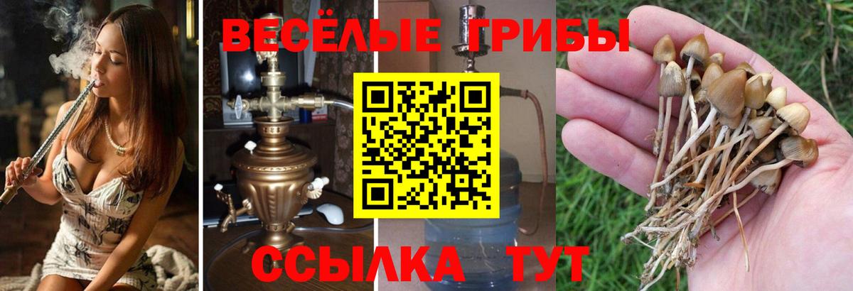 Северск  Псилоцибиновые грибы ЛСД  Вход с VPN  Галлюциногенные грибы GOLDEN TEACHER 
