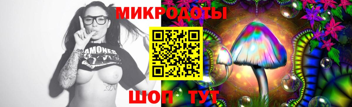 Галлюциногенные грибы мухоморы Северск
